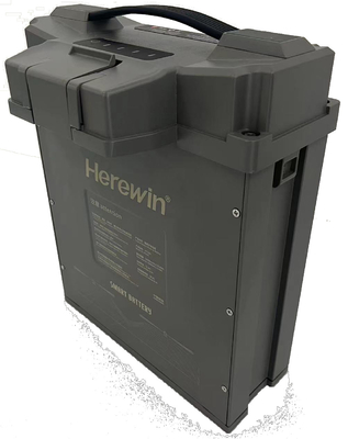 comprare Semi Solid Molex Smart Sprayer Batteria UAV Herewin 14S 30000mAh 53.2V 10C fabbricazione online