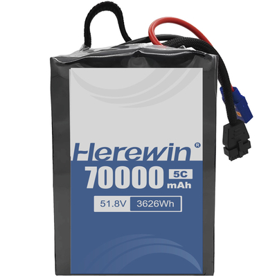 comprare Herewin Semi-solid State Battery 14S2P 51.8V 70000mAh Con Li-Ion Lithium E LiFePO4 Chimica fabbricazione online