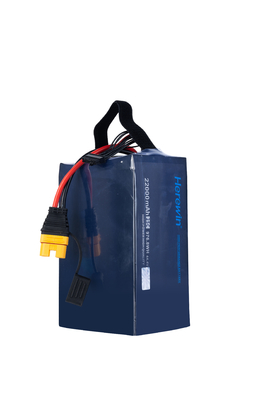 MSDS UN38.3 BIS Herewin 12s Lipo batteria pacchetto UAV batteria 22Ah 45.6V 25C ricarica rapida